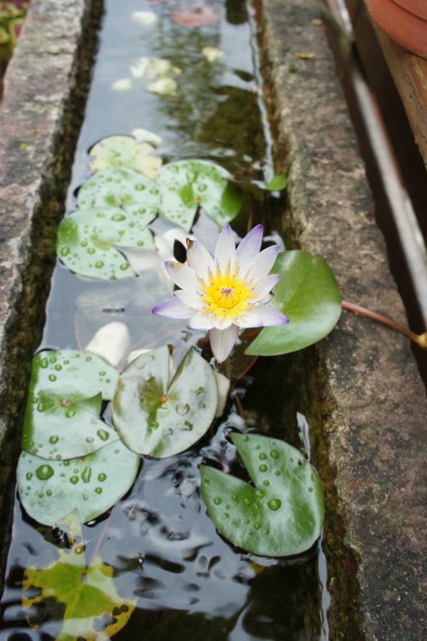 Cheng-Ping Hot Spring Inn Wenquan Buitenkant foto